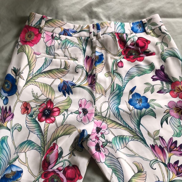 Ann Taylor cropped pants sz 12 - Picture 4 of 6